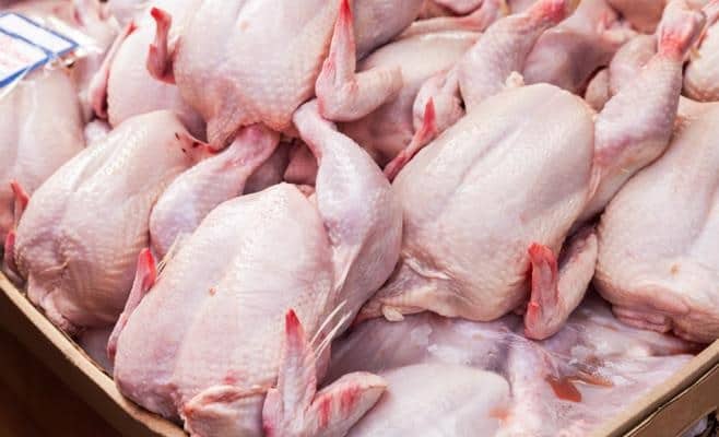 قربة..حجز واتلاف 160طير دجاج و378كغ من لحوم الدواجن ومشتقاتها